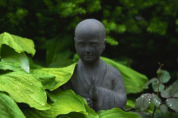 Gratitude